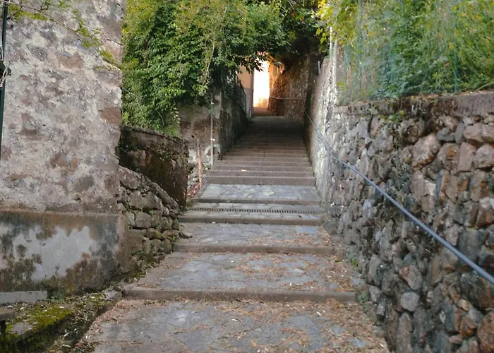 Belvedere 2*