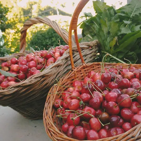 Отель Belvedere