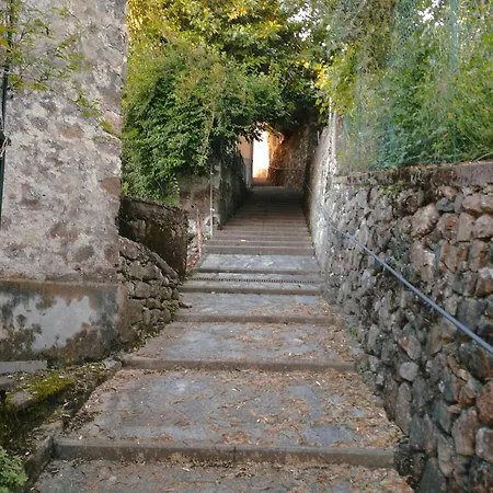 Belvedere 2*